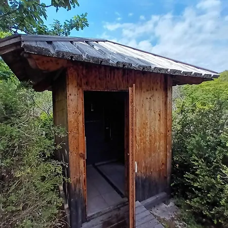 Apartman Bubble With Wooden Frame